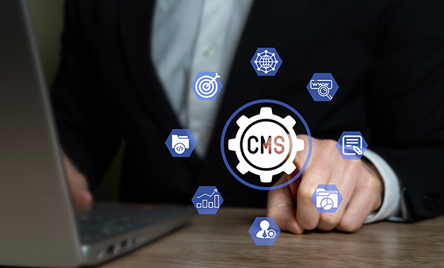 CMS Platforms